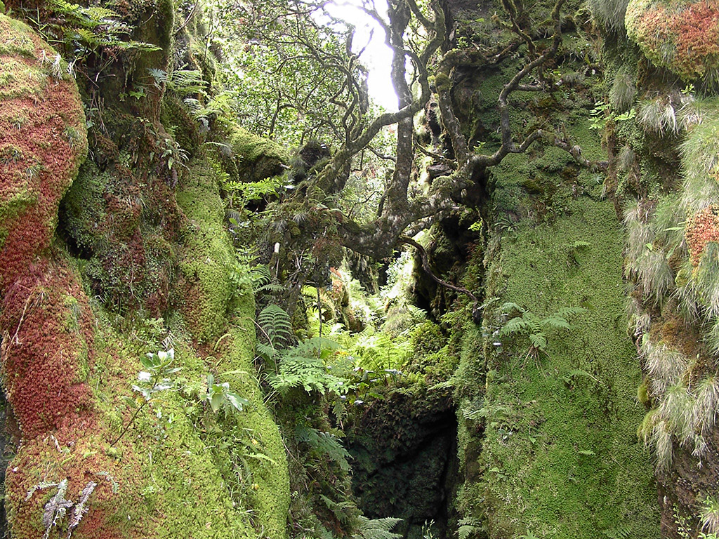 Discovering the Island