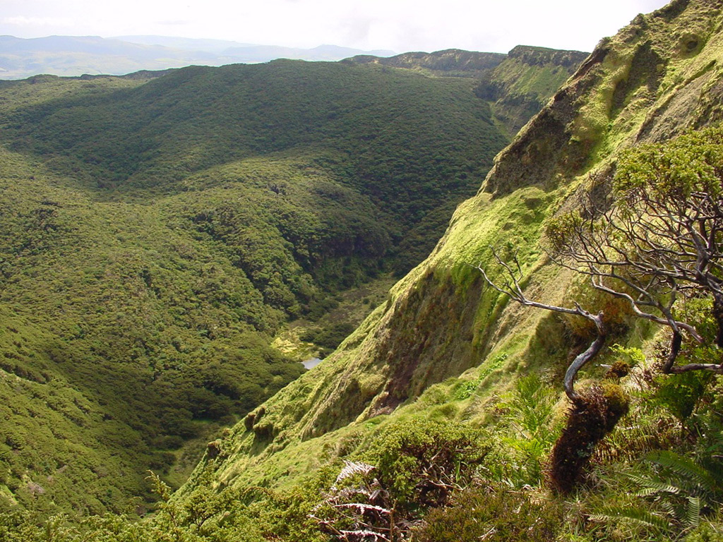 Recreation & Leisure